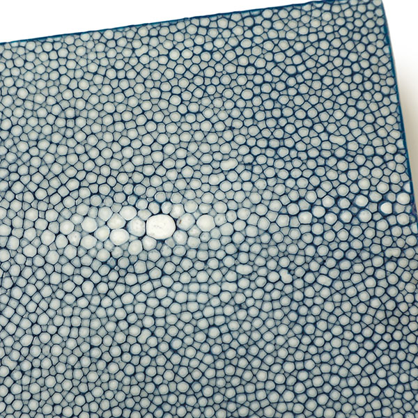 SILVANO BIAGINI シルヴァーノビアジーニ 財布 ウォレット 二つ折り